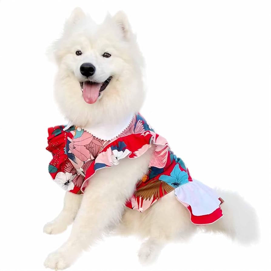 犬服 SS わんこの普段着　オレンジとペールブルーの花 GUNZE グンゼ ドッグウェア 小型犬 綿100% ピササーマル 単色 犬